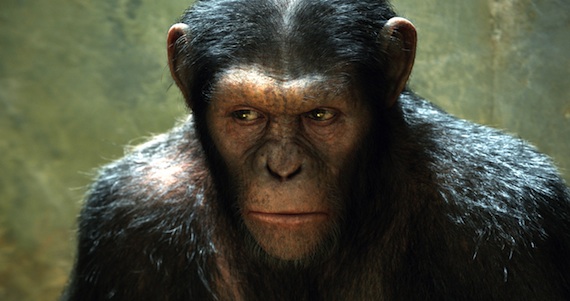 Andy Serkis signs on for a RISE OF THE PLANET OF THE APES sequel!